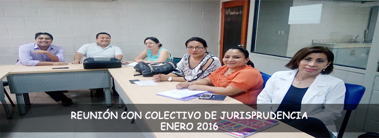 PASANTIAS_REUNIÓN-CON-COLECTIVO-DE-JURISPRUDENCIA