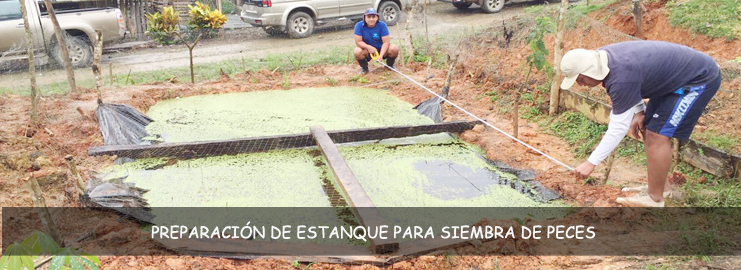 PREPARACIÓN-DE-ESTANQUE-PARA-SIEMBRA-DE-PECES